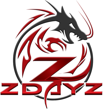 www.zdayz.com